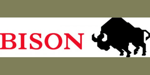 Bison 1879