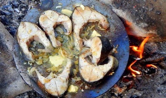 Klappmuurikka mit Tasche