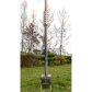 Titanium Heat Protector für  Tinaium Plus Ofen
