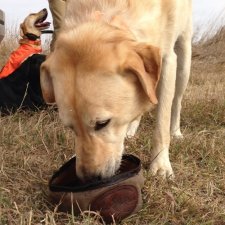 Boo`s Big Bowl Hundenapf