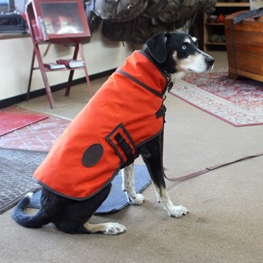 Dog Vest Hundeweste